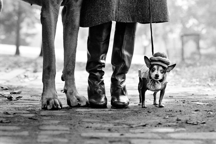 Elliott Erwitt, New York, USA, 1974 (© Elliott Erwitt Magnum Photos)