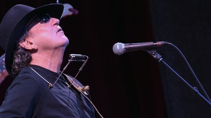 Tony Joe White en 2015
 (RICK DIAMOND / GETTY IMAGES NORTH AMERICA / AFP)