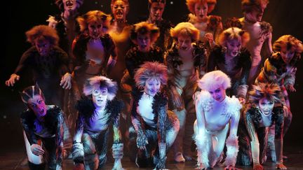 La comédie musicale "Cats" sera à Paris en octobre, au théâtre Mogador
 (Christophe Ena / AP / SIPA)