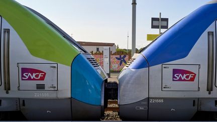 Un train TER est en station à Montaigu (Vendée), le 20 août 2024. (MATHIEU THOMASSET / HANS LUCAS / AFP)