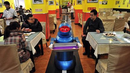 En Chine, à Harbin, la capitale de la province du Heilongjiang, le premier restaurant entièrement tenu par des robots a ouvert ses portes en juin 2012.
 
La vingtaine qui y travaillent savent tout faire, préparer les nems, servir les clients,  débarrasser les tables et faire la vaisselle.
 
Et, surtout, ils sont moins exigeants au niveau salaire que les humains et ne rechignent pas à travailler le dimanche, précise le directeur de l’établissement. (REUTERS / Sheng Li)