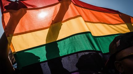 Le drapeau arc-en-ciel lors de la marche des fiertés à Durban, en Afrique du Sud, en juin 2018. Photo d'illustration (RAJESH JANTILAL / AFP)