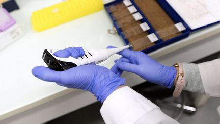 Des chercheurs en laboratoire de l'Institut de recherche en cancérologie de Montpellier (IRCM) en train de faire des analyses. (Photo d'illustration) (GUILLAUME BONNEFONT / MAXPPP)