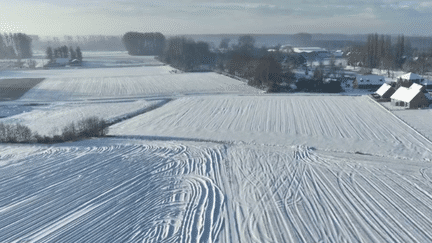 La neige a recouvert le nord de la France, dans la nuit du mercredi 17 au jeudi 18 janvier. 5 à 10 cm de neige sont tombés par endroits. Cela faisait des années que les habitants n'en avaient pas vu autant. (franceinfo)