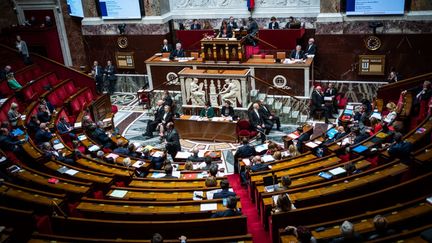 Une séance publique de questions au gouvernement à l'Assemblée nationale, le 11 avril 2023. (XOSE BOUZAS / HANS LUCAS / AFP)