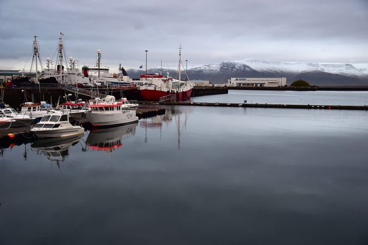 Le port de&nbsp;Reykjavik en Islande, photographié le 21 novembre 2016. (MAXPPP)