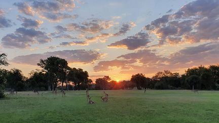 Cette réserve, la plus grande d’Afrique du Sud, abrite de nombreuses espèces végétales et animales. Véritable havre de paix, le parc possède seize écosystèmes et a été reconnu en 2001 comme réserve de biosphère par l’Unesco. Il abrite près de 150 espèces de mammifères, dont les célèbres Big Five (lion, léopard, éléphant, rhinocéros noir et buffle), plus de 500 espèces d’oiseaux et une centaine de variétés de reptiles.&nbsp; &nbsp; &nbsp;&nbsp; (JEAN ROSSOUW/ MAGNUS NEWS/SIPA)