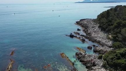 Découverte : le sentier du littoral du cap d'Antibes