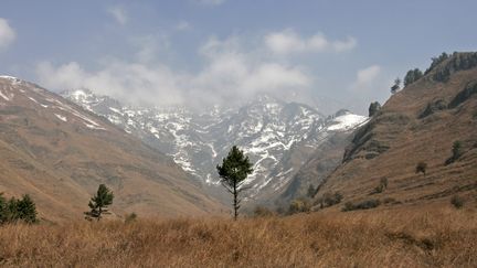 Le parc national du Dachigam, dans l'Etat du Jammu-et-Cachemire (Inde), est ferm&eacute; au public depuis le 4 juillet 2012, en raison des risques que la pr&eacute;sence humaine fait courir sur l'environnement. (FAYAZ KABLI / REUTERS)