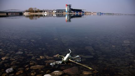 Des déchets jonchent désormais le sol de cet ancien centre aquatique créé à l’occasion des Jeux olympiques de Pékin en 2008. D’autres infrastructures construites pour ces Jeux ont quant à elles été détruites.  (DAVID GRAY / REUTERS)