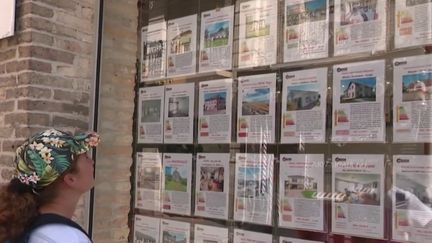 Immobilier : en France, les frais d'agence sont plus hauts que chez nos voisins européens (FRANCE 3)