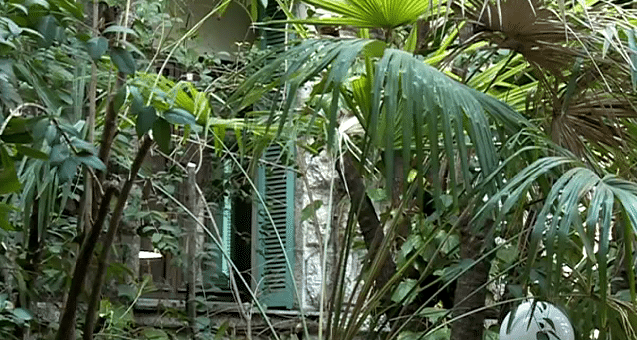 Un cadre de verdure en pleine ville
 (France 3)