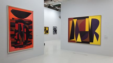 Jusqu'au 6 mai 2019, le Centre Pompidou consacre une grande rétrospective à Victor Vasarely. (ANNE CHÉPEAU / FRANCE-INFO)