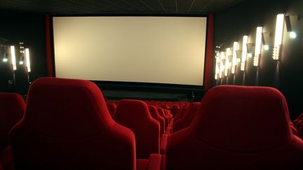 En 2012, les 6-14 ans ont repr&eacute;sent&eacute; 14,8% du public des cin&eacute;mas fran&ccedil;ais : c'est pr&egrave;s d'un spectateur sur sept, et 9,5% des entr&eacute;es. (MAXPPP)