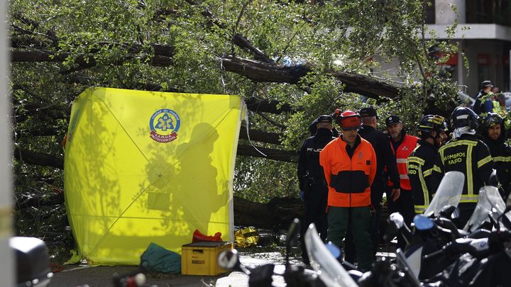 Les pompiers travaillent sur le site où une jeune femme est morte après avoir été frappée par un arbre déraciné par le vent à Madrid (Espagne), le 2 novembre 2023. (RODRIGO JIMENEZ / EPA / MAXPPP)