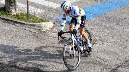 Le Français Julian Alaphilippe sur Tirreno-Adriatico (Italie), le 12 mars 2022. (ROBERTO BARTOMEOLI / AFP)