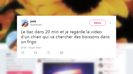 Le baccalaurat 2018 a suscité de nombreuses réactions sur le réseau social Twitter, le jour de la première épreuve de philosophie, le 18 juin. (CAPTURE D'ÉCRAN FRANCEINFO / TWITTER)