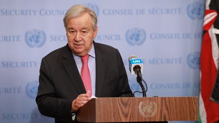 Antonio Guterres, le secrétaire général de l'ONU, le 11 janvier 2021. (XIE E / XINHUA)