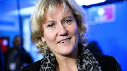 Nadine Morano, t&ecirc;te de liste UMP aux &eacute;lections europ&eacute;ennes dans l'Est, le 19 novembre 2013 &agrave; Paris. (BERTRAND GUAY / AFP)