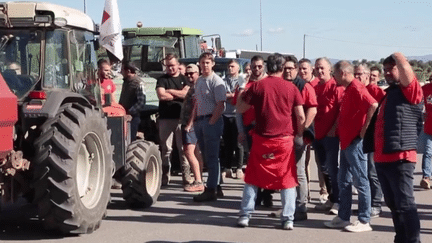 Les producteurs français de tomates ont mené, dans la matinée du jeudi 16 mai, une action de grève à Perpignan, dans les Pyrénées-Orientales, au péage de l'autoroute A9.  Ils protestaient contre la concurrence déloyale, selon eux, de la part des producteurs marocains.