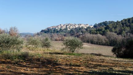 Le bourg de Grambois, perché au-dessus des vignes et des oliviers, le 11 janvier 2017. (YANN THOMPSON / FRANCEINFO)