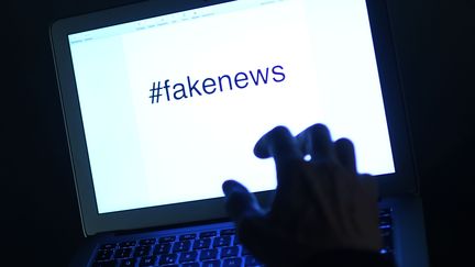 Emmanuel Macron annonce une loi contre les "fake news"