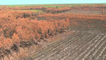 Vigilance contre les incendies en Gironde, vide-greniers en Bourgogne… 24 heures d’actualité dans l’Hexagone (France 2)