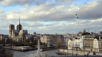 850 ans de Notre-Dame de Paris
 ( AFP PHOTO / BERTRAND GUAY)