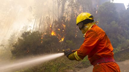 Un pompier portugais se bat contre le feu pr&egrave;s de Porto Moniz dans l'&icirc;le de , on Mad&egrave;re le 20 aout 2013 (GREGORIO CUNHA / AFP)