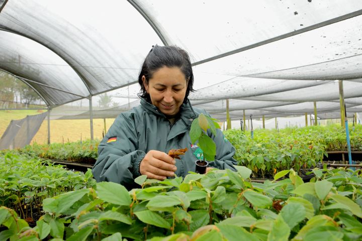 Madalena Oliveira dans l'une des pépinières de l'association Copaiba à Socorro (Brésil), le 14 septembre 2022.&nbsp; (VALENTINE PASQUESOONE / FRANCEINFO)