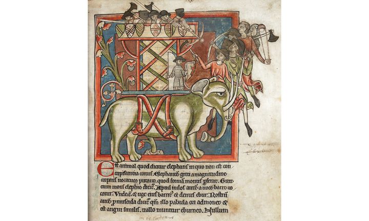 Bestiaire, fin du XIIe siècle - début du XIIIe siècle, British Library, Haley MS 4751 : un éléphant portant une tour de bois et des soldats armés
 (-)