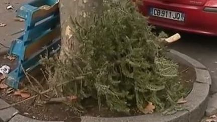 Sapins : des collectes organisées pour lutter contre les dépôts sauvages