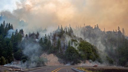 Le feu progressait le long de l'autoroute 299 près de Whiskeytown en Californie, le 28 juillet 2018.&nbsp; (JOSH EDELSON / AFP)