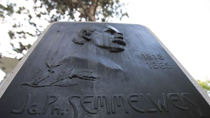 Une plaque commémorative en l'honneur de Ignace Semmelweis dans le jardin de l'hôpital général&nbsp;de Vienne, le 28 juin 2018. (ALEX HALADA / AFP)