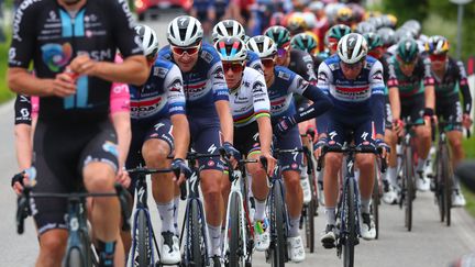 L'équipe Soudal Quick-Step, lors de la 8e étape, le 13 mai 2023. (LUCA BETTINI / AFP)