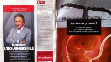 La publicit&eacute; de la fondation J&eacute;r&ocirc;me Lejeune dans les pages du "Nouvel Observateur", le 10 d&eacute;cembre 2012. (FRANCETV INFO)