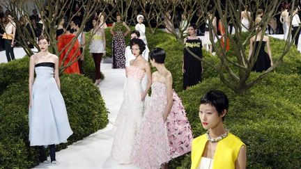 Dior haute couture printemps-été 2013, à Paris (janvier 2013)
 (FRANCOIS GUILLOT / AFP)