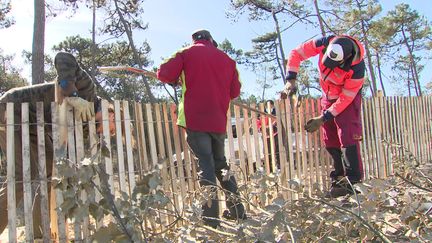 La lutte contre l'érosion des plages en Charente-Maritime