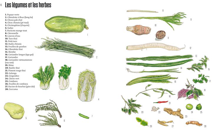 Les légumes et les herbes dessinées par Christelle Téa dans le livre de recettes "Au Bonheur". (EDITIONS PREMIER PARALLELE)