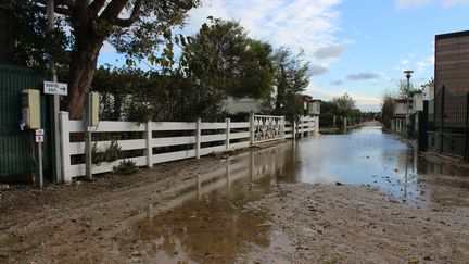 Le camping Le Pavillon, &agrave; Sigean (Aude), le 2 d&eacute;cembre 2014. (THOMAS BAIETTO / FRANCETV INFO)