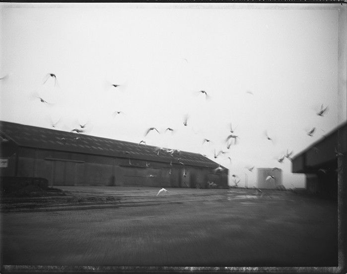 Photo de René Tanguy - "Sad Paradise" 
 (RENÉ TANGUY )