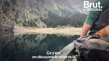 Situé dans les Alpes, ce site est strictement interdit au public depuis 1995. Seuls quelques chercheurs peuvent s'y rendre. Leur but : observer comment la nature évolue sans action humaine.