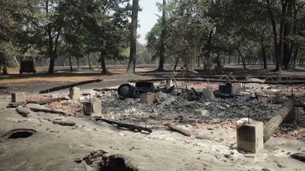 Les incendies sont toujours virulents, dans la soirée du vendredi 12 août, en Gironde et dans les Landes.&nbsp;17 maisons ont été détruites depuis la reprise des feux, mardi.&nbsp;France Télévisions a suivi des sinistrés, qui découvrent leur habitation en ruines. (FRANCE 2)