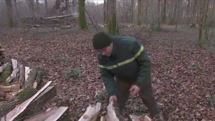 Crise énergétique : du bois des forêts communales utilisé pour se chauffer (France 2)