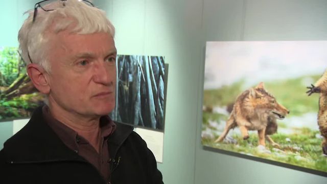 L'exposition des photographes de nature