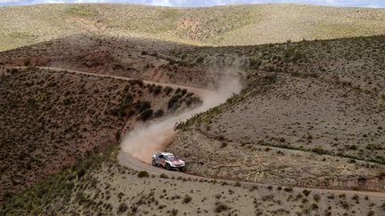 Stéphane Peterhansel (Peugeot) (FRANCK FIFE / AFP)