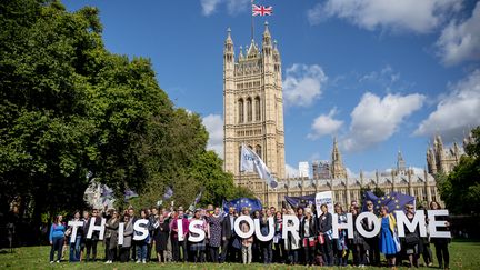 Manifestations d'expatriés à Londres pour demander la garantie que leurs droits soient respectés malgré le Brexit, le 13 septembre. (TOLGA AKMEN / AFP)