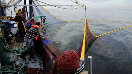 Des marins p&ecirc;cheurs remontent des filets, &agrave; bord du "Kanedevenn", au large de Quiberon (Morbihan), le 24 septembre 2013.&nbsp; (JEAN-SEBASTIEN EVRARD / AFP)