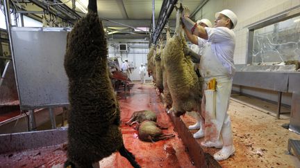 A l'abattoir de Corbas, pr&egrave;s de Lyon (Rh&ocirc;ne), le 27 novembre 2009. (PHILIPPE DESMAZES / AFP)