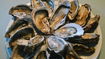 The Secretary of State for the Sea Hervé Berville assures oyster farmers that the State will provide them with financial support.  (Illustrative photo) (ADRIEN FILLON / HANS LUCAS)